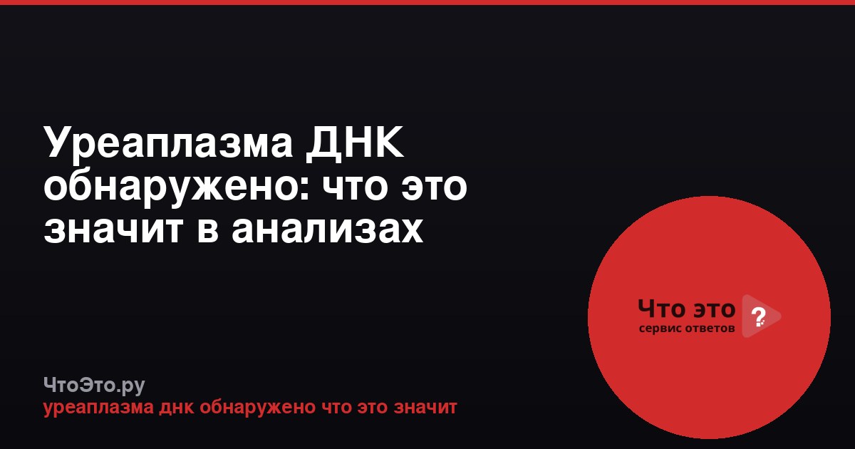 Уреаплазма ДНК обнаружено: что это значит в анализах