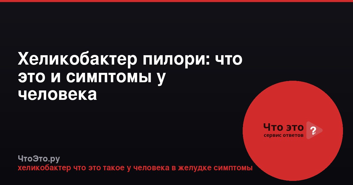 Хеликобактер пилори: что это и симптомы у человека