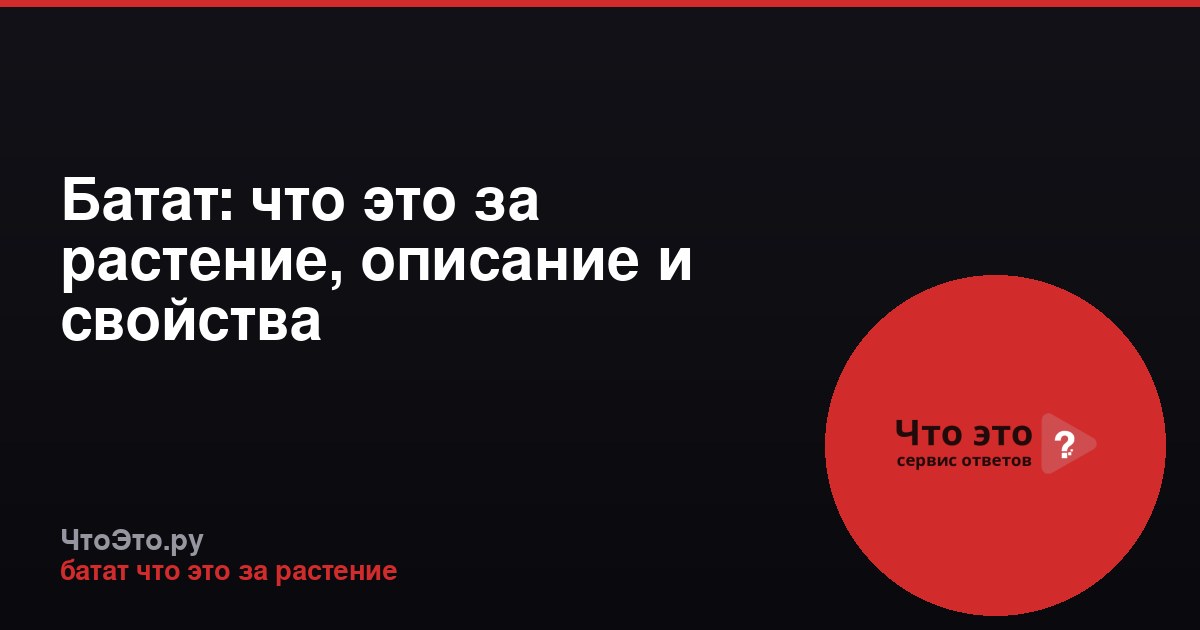 Батат: что это за растение, описание и свойства