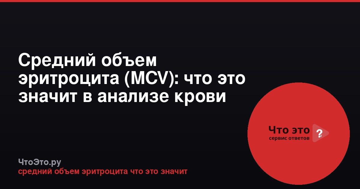 Средний объем эритроцита (MCV): что это значит в анализе крови