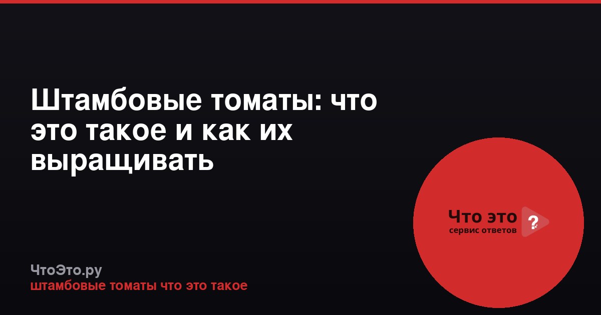 Штамбовые томаты: что это такое и как их выращивать