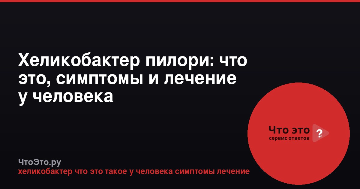 Хеликобактер пилори: что это, симптомы и лечение у человека