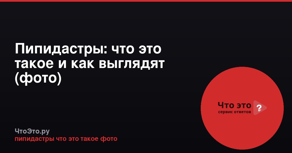 Пипидастры: что это такое и как выглядят (фото)