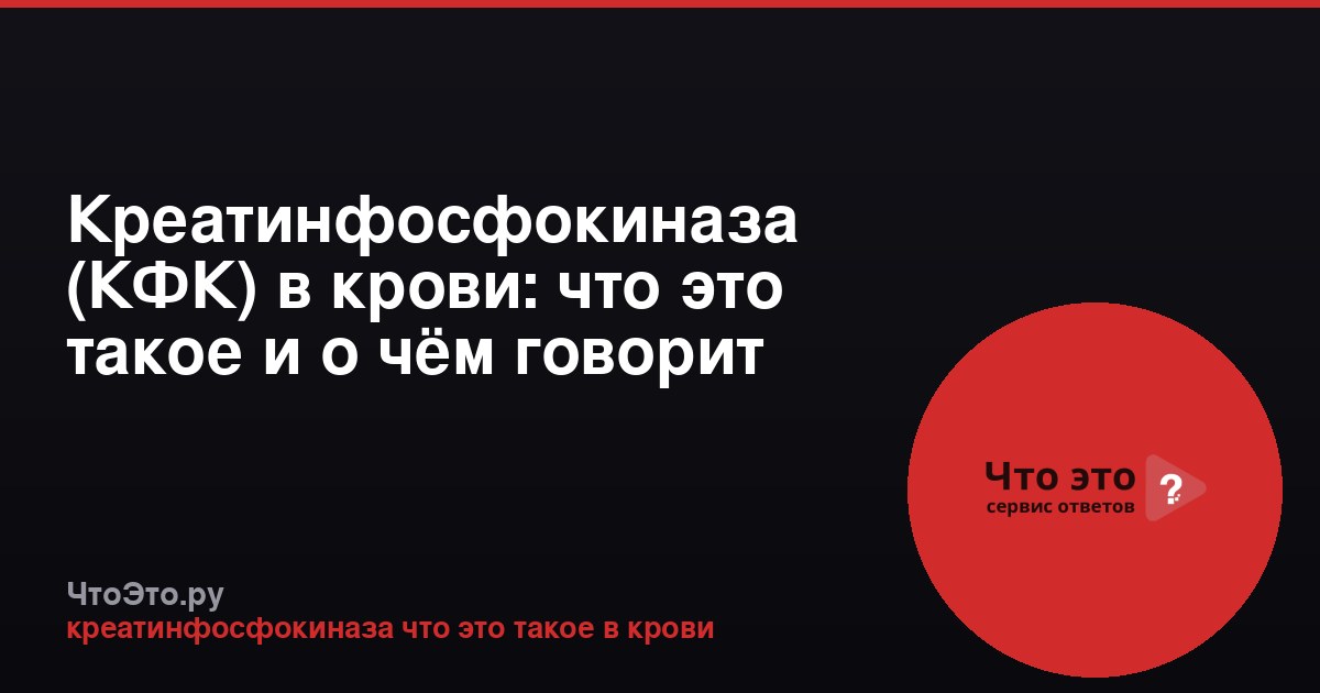 Креатинфосфокиназа (КФК) в крови: что это такое и о чём говорит