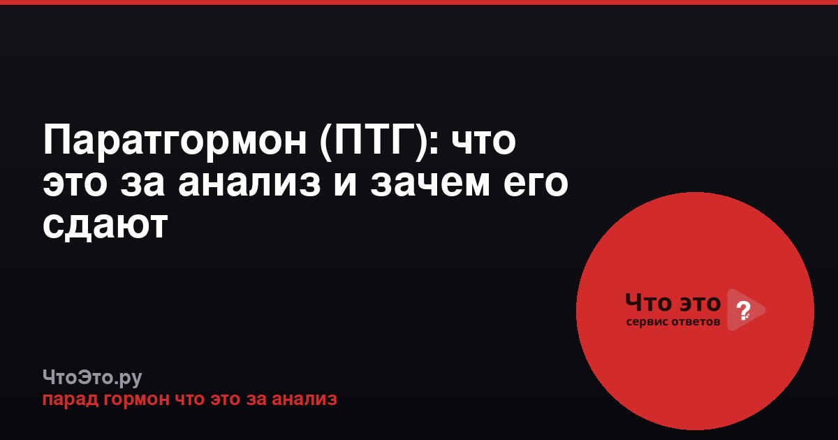 Паратгормон (ПТГ): что это за анализ и зачем его сдают