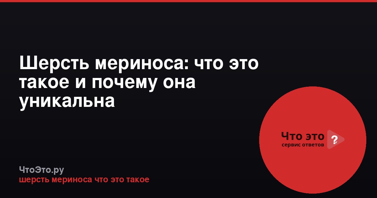 Шерсть мериноса: что это такое и почему она уникальна