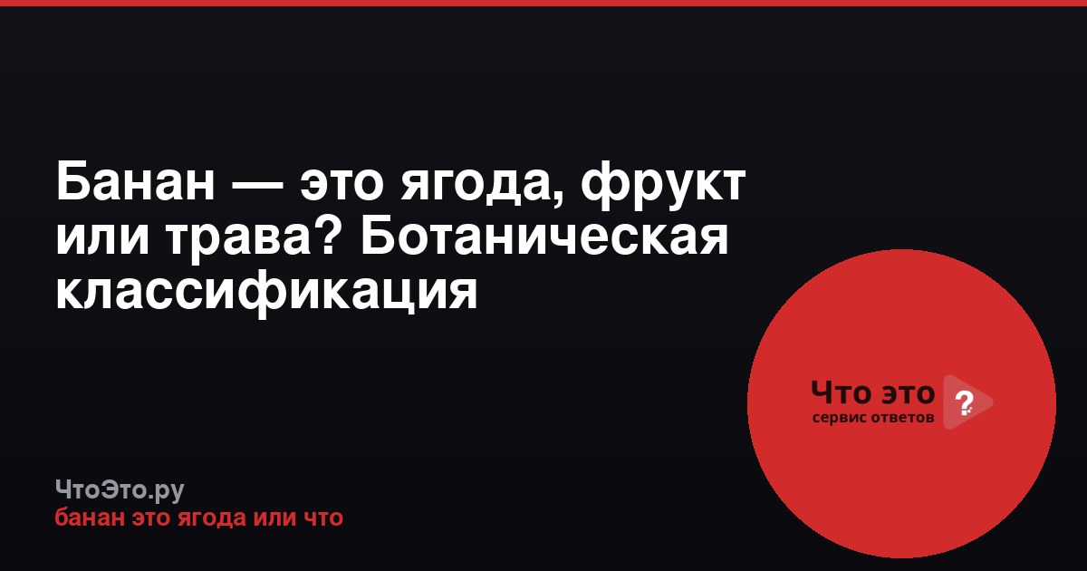 Банан — это ягода, фрукт или трава? Ботаническая классификация