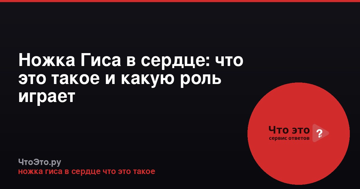 Ножка Гиса в сердце: что это такое и какую роль играет