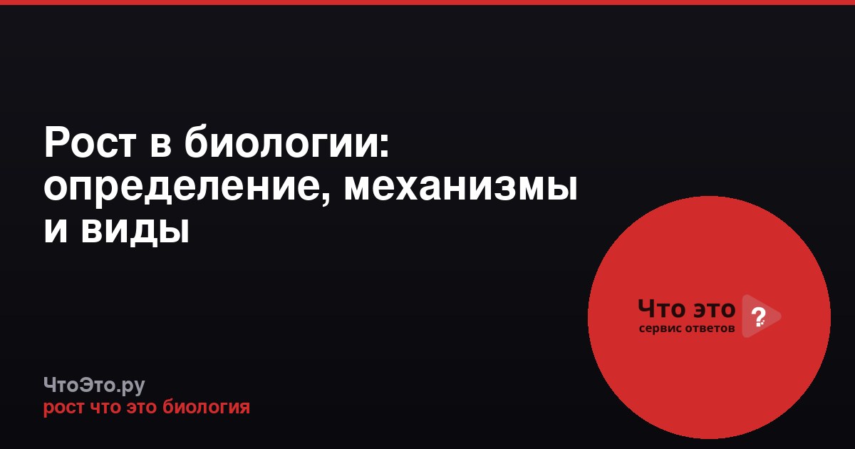 Рост в биологии: определение, механизмы и виды