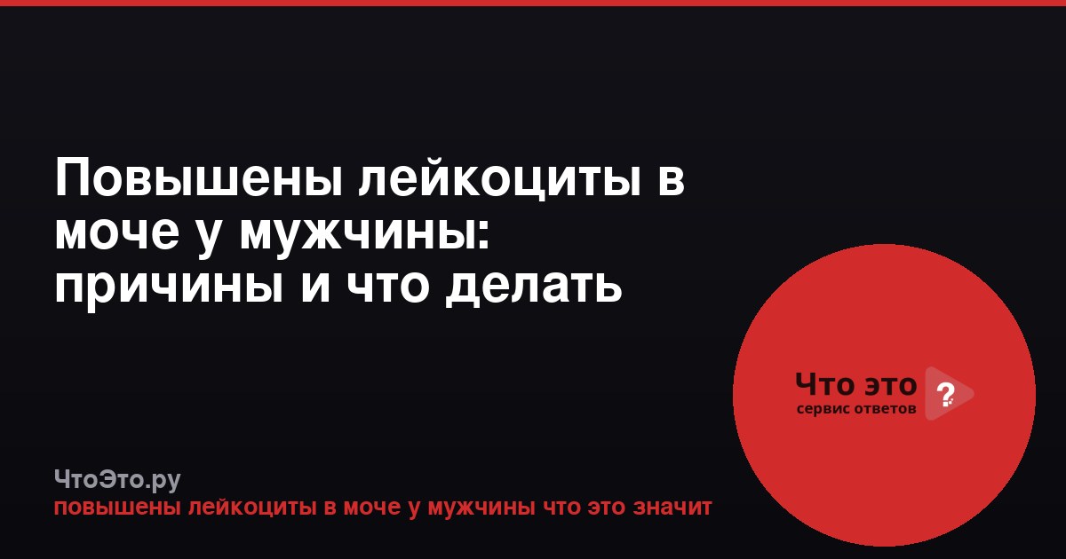 Повышены лейкоциты в моче у мужчины: причины и что делать