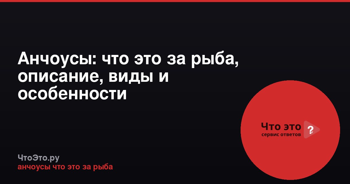 Анчоусы: что это за рыба, описание, виды и особенности