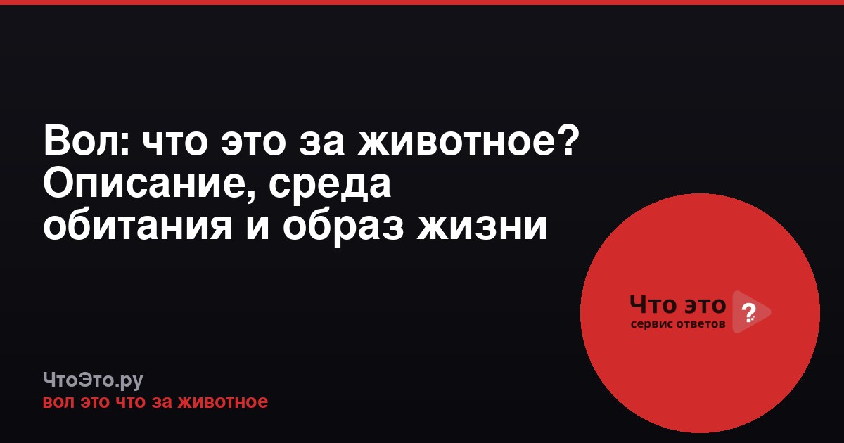 Вол: что это за животное? Описание, среда обитания и образ жизни
