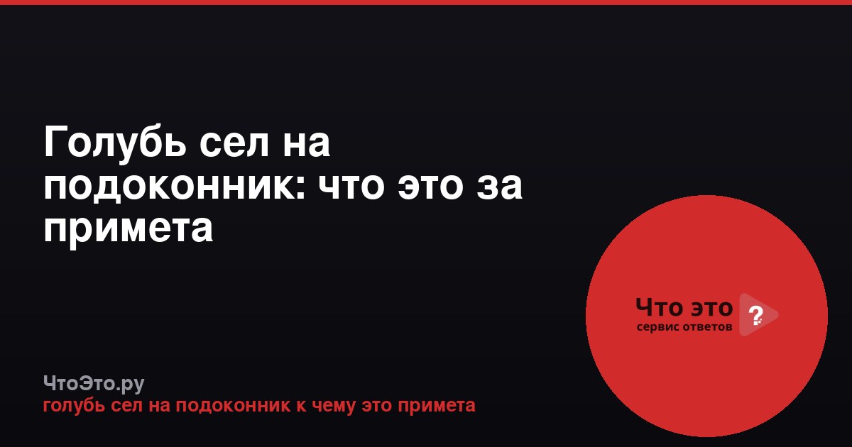 Голубь сел на подоконник: что это за примета