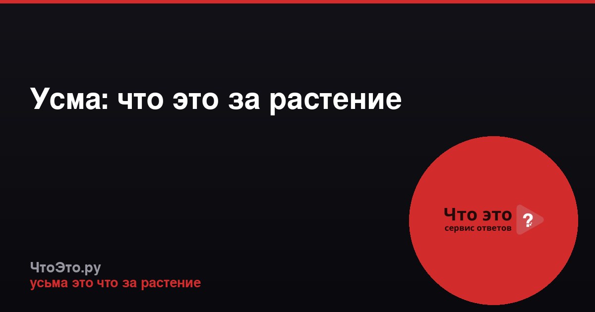 Усма: что это за растение
