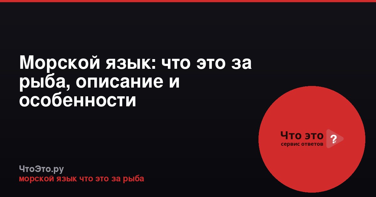 Морской язык: что это за рыба, описание и особенности