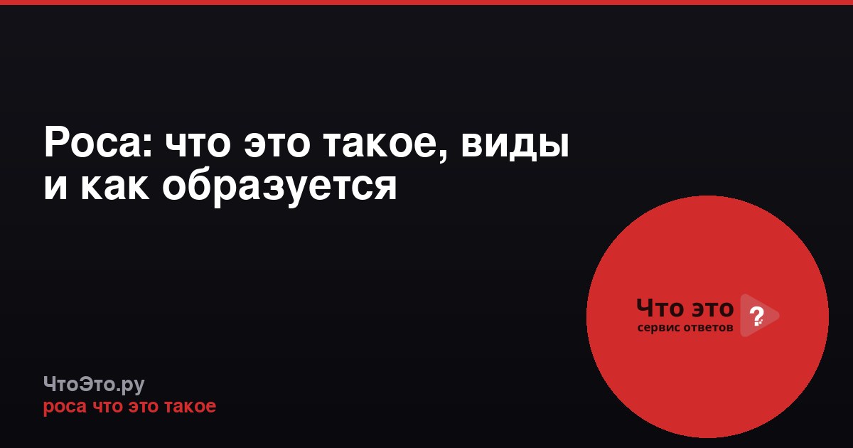 Роса: что это такое, виды и как образуется