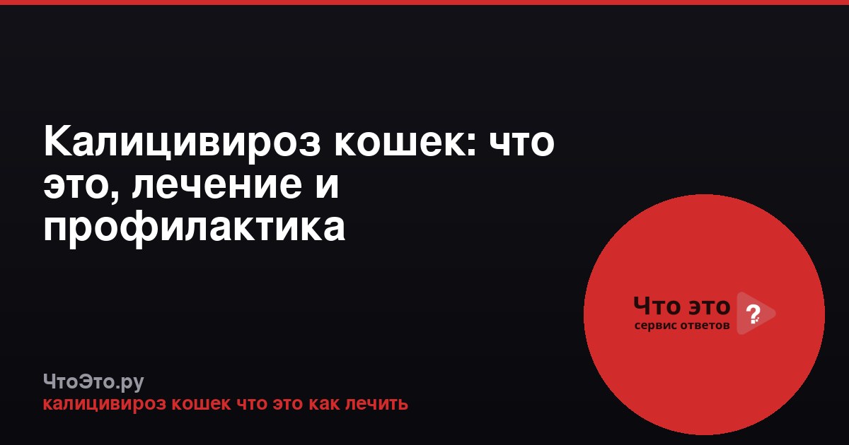 Калицивироз кошек: что это, лечение и профилактика