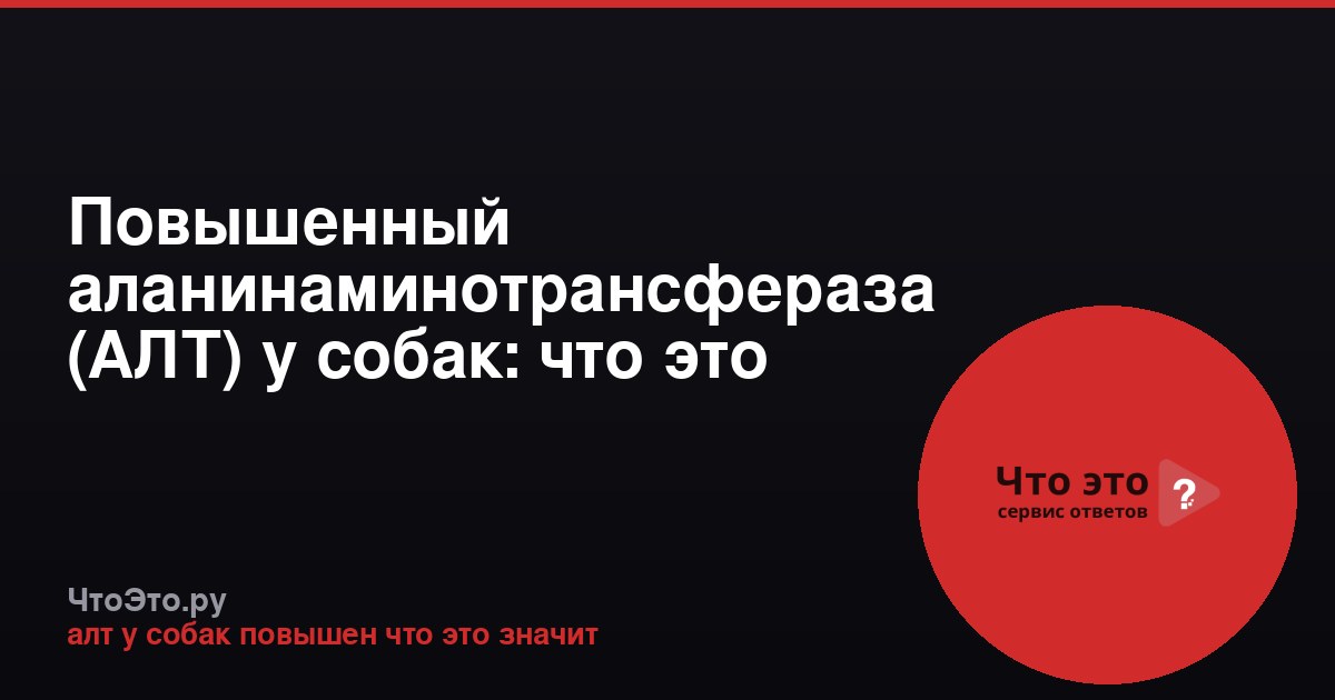 Повышенный аланинаминотрансфераза (АЛТ) у собак: что это значит?