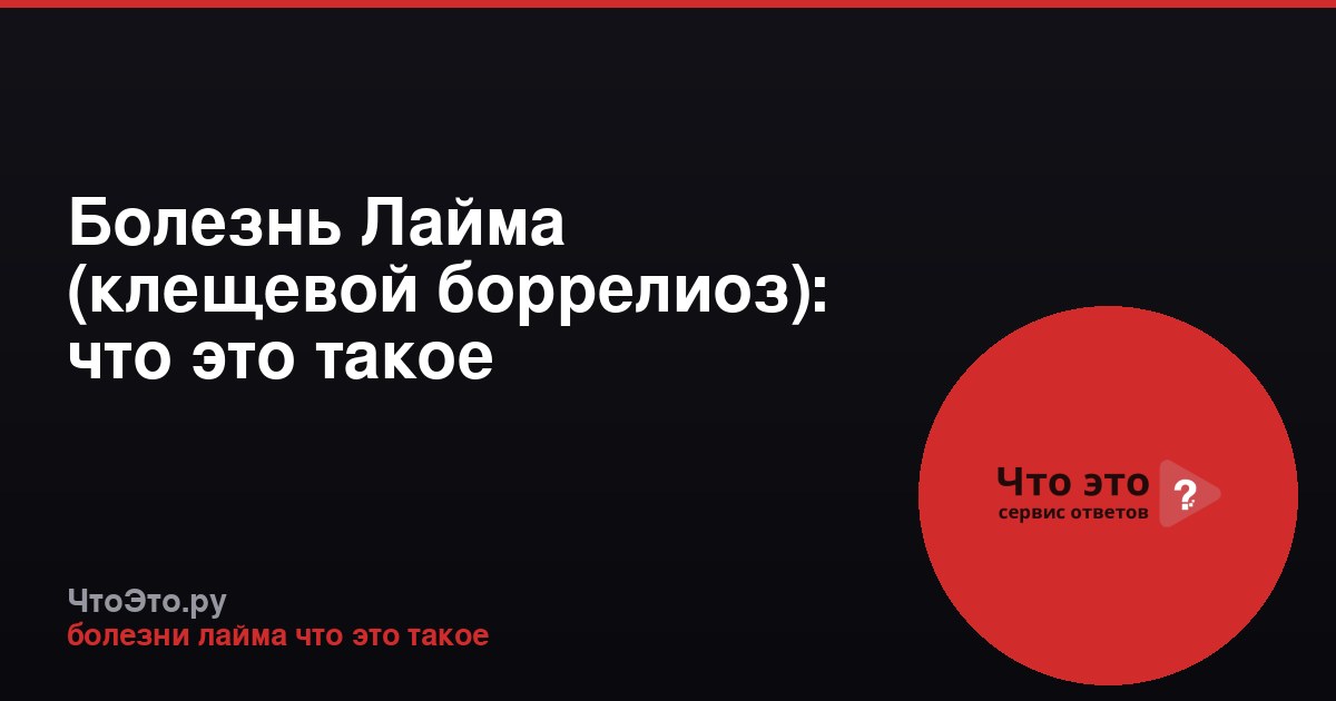 Болезнь Лайма (клещевой боррелиоз): что это такое