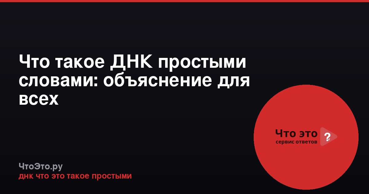 Что такое ДНК простыми словами: объяснение для всех