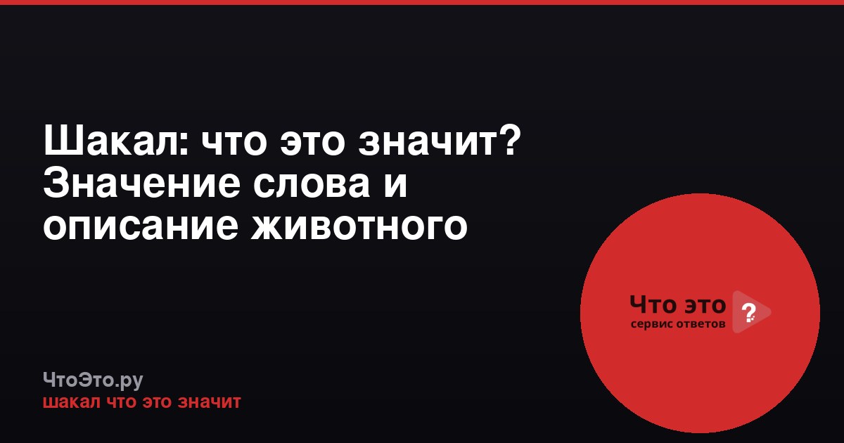 Шакал: что это значит? Значение слова и описание животного