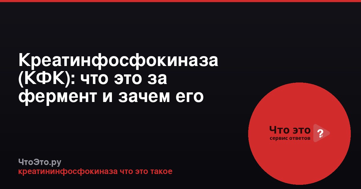 Креатинфосфокиназа (КФК): что это за фермент и зачем его определяют