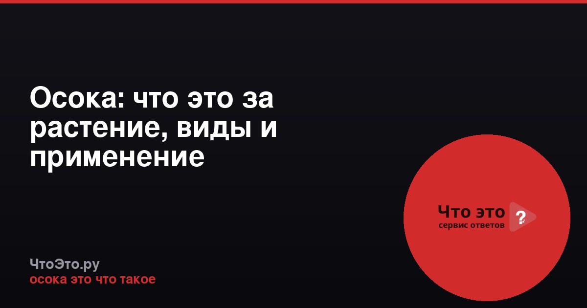Осока: что это за растение, виды и применение