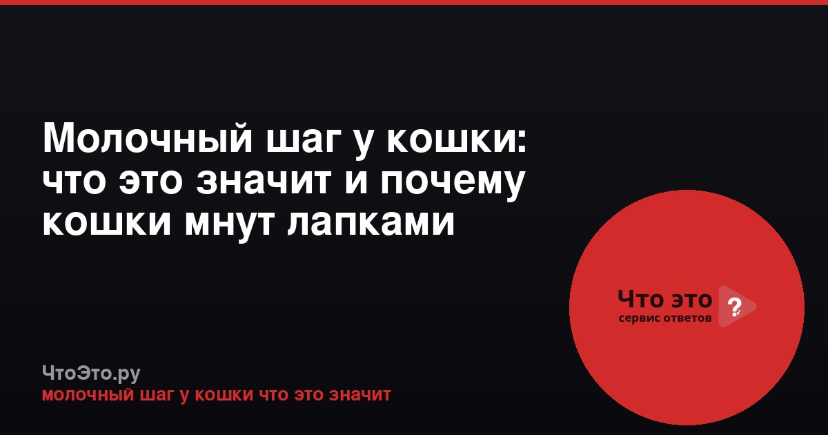 Молочный шаг у кошки: что это значит и почему кошки мнут лапками