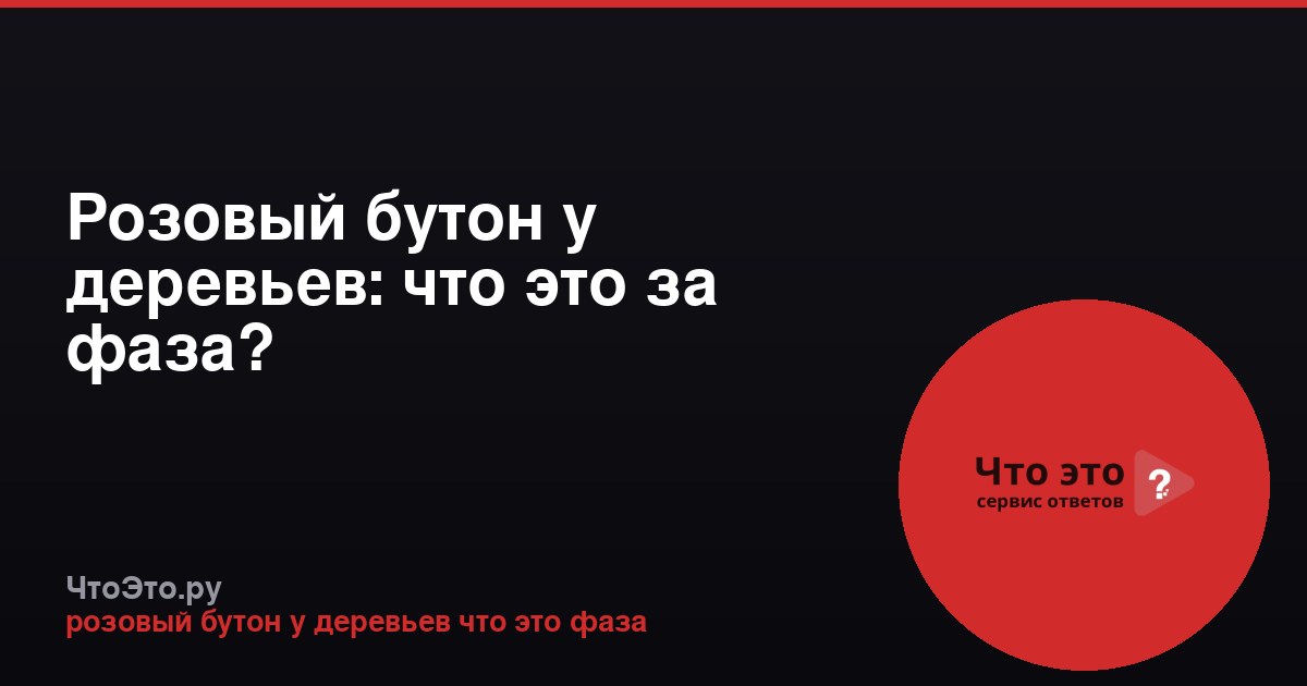 Розовый бутон у деревьев: что это за фаза?