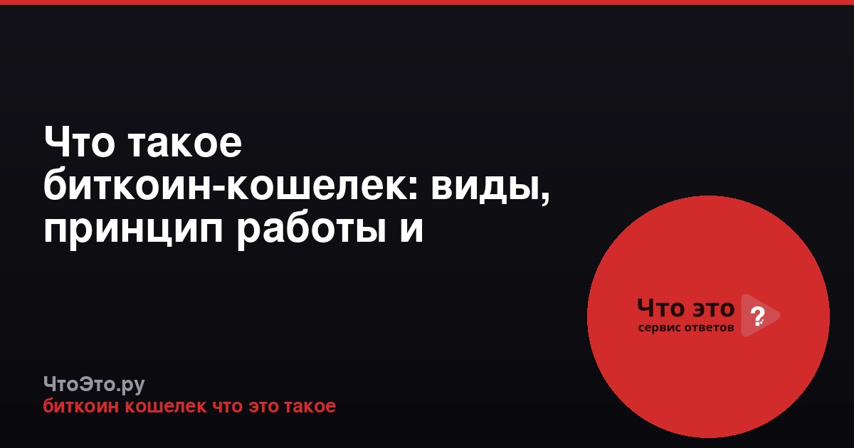 Что такое биткоин-кошелек: виды, принцип работы и безопасность