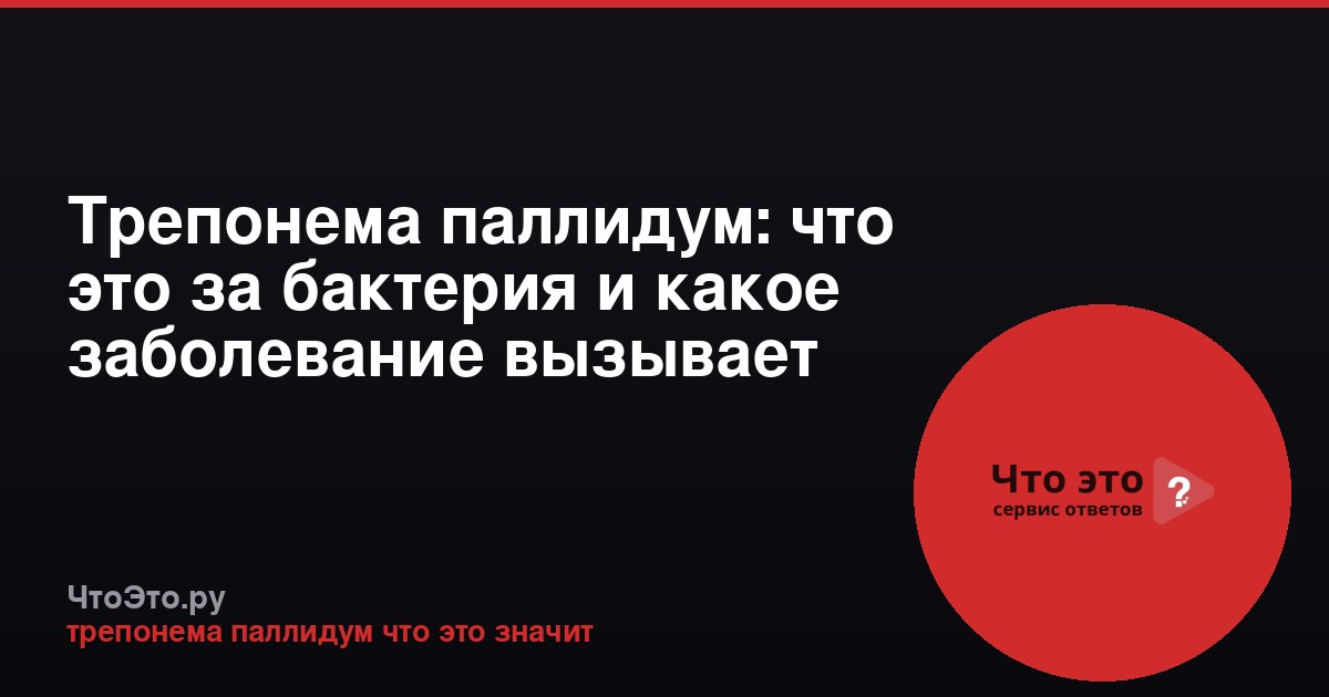Трепонема паллидум: что это за бактерия и какое заболевание вызывает