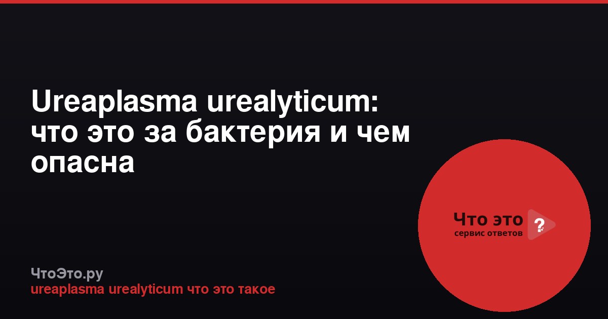 Ureaplasma urealyticum: что это за бактерия и чем опасна