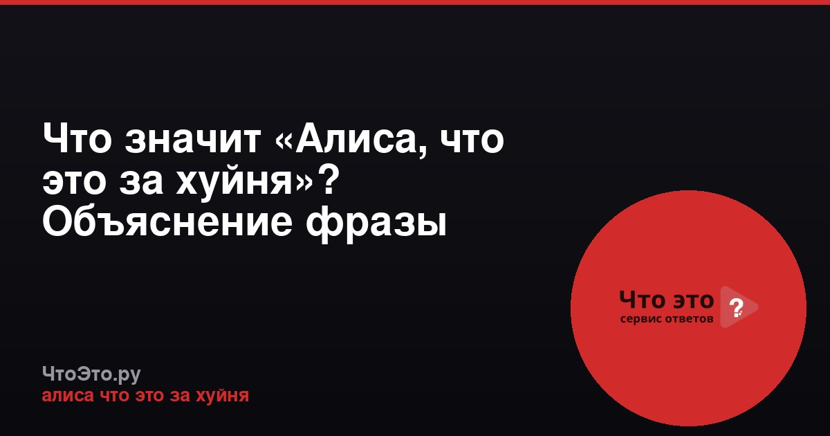 Что значит «Алиса, что это за хуйня»? Объяснение фразы