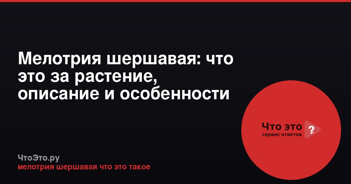 Мелотрия шершавая: что это за растение, описание и особенности