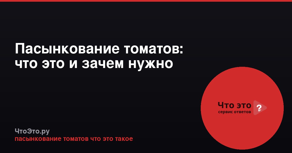 Пасынкование томатов: что это и зачем нужно