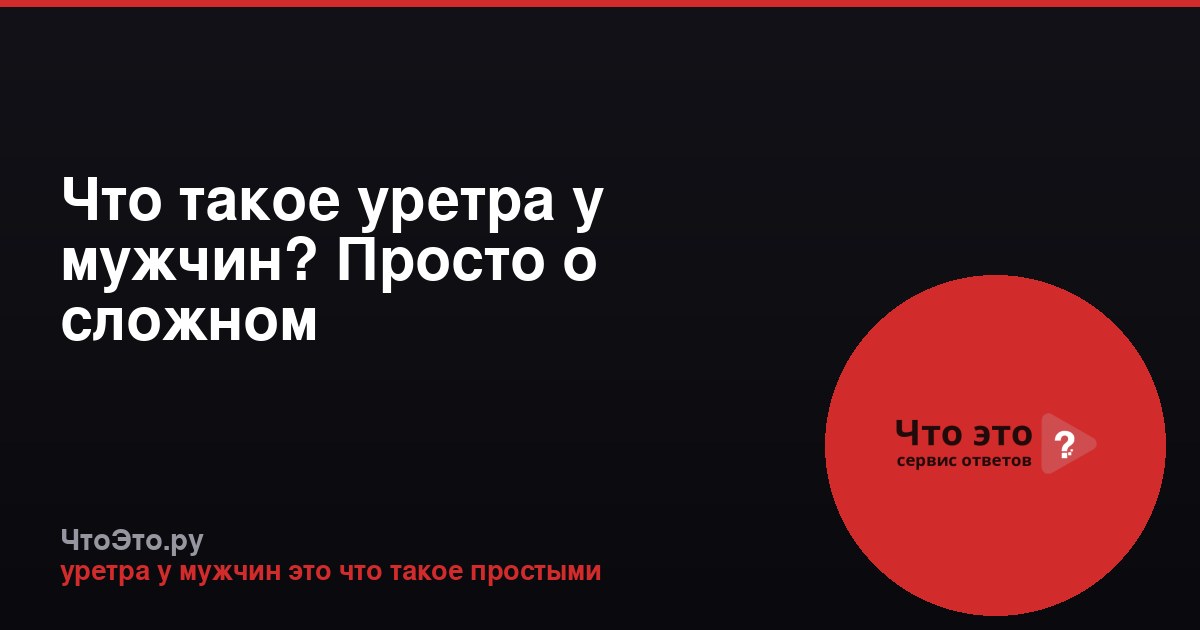 Что такое уретра у мужчин? Просто о сложном