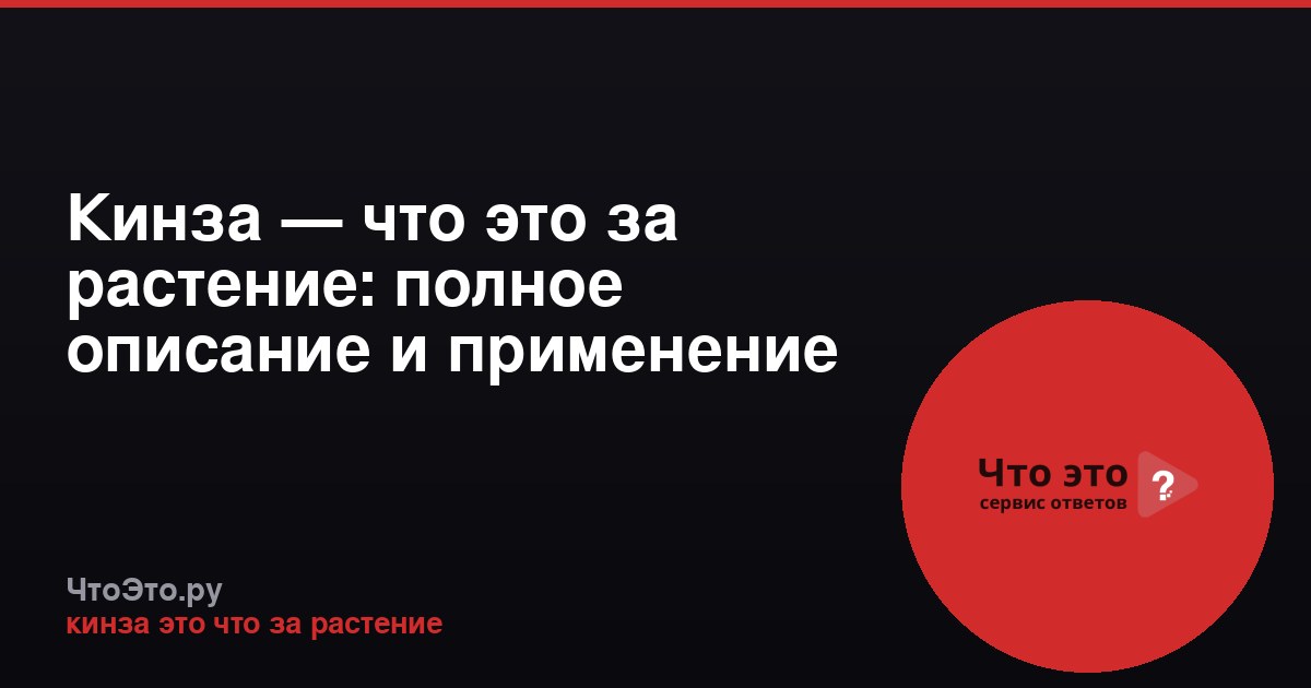Кинза — что это за растение: полное описание и применение