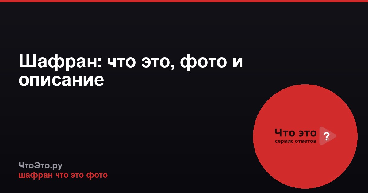 Шафран: что это, фото и описание