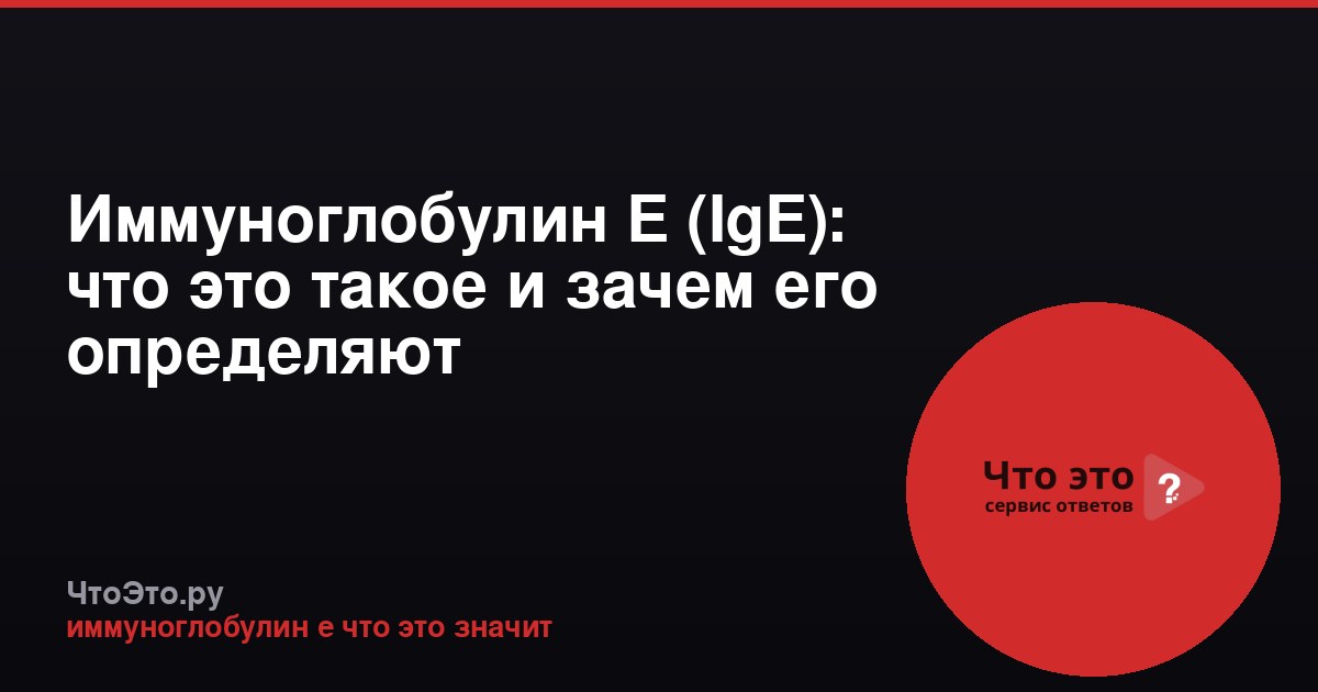 Иммуноглобулин Е (IgE): что это такое и зачем его определяют