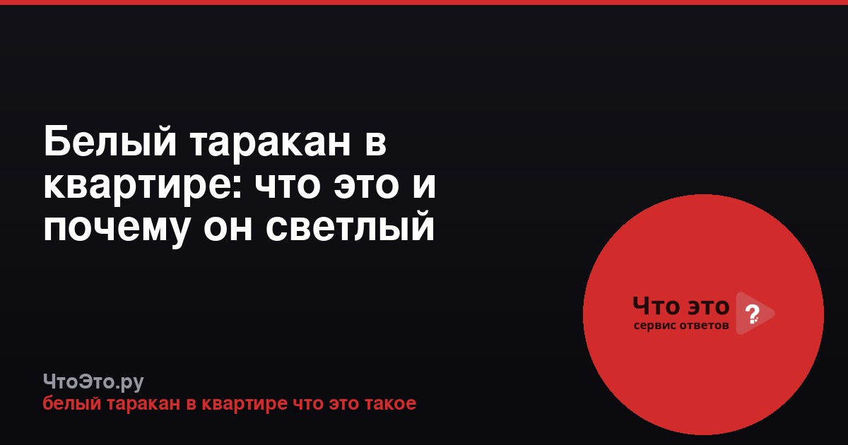 Белый таракан в квартире: что это и почему он светлый