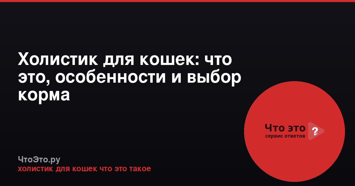 Холистик для кошек: что это, особенности и выбор корма