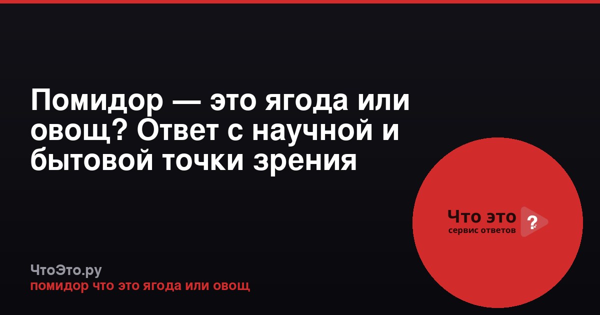 Помидор — это ягода или овощ? Ответ с научной и бытовой точки зрения