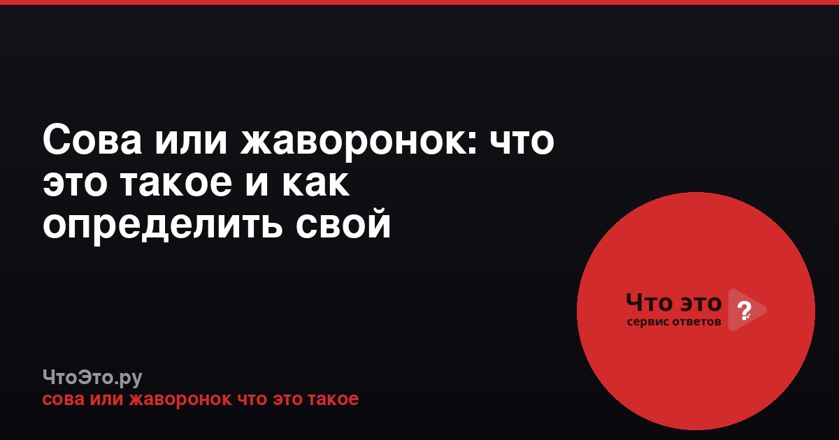Сова или жаворонок: что это такое и как определить свой хронотип