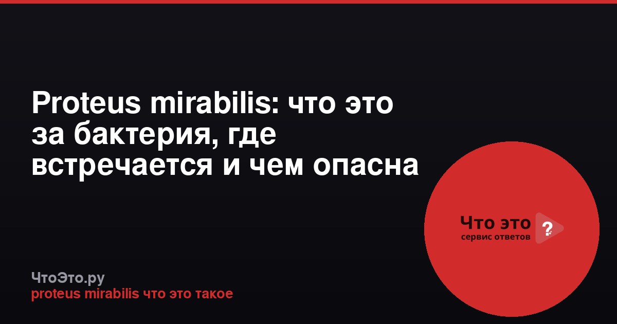 Proteus mirabilis: что это за бактерия, где встречается и чем опасна