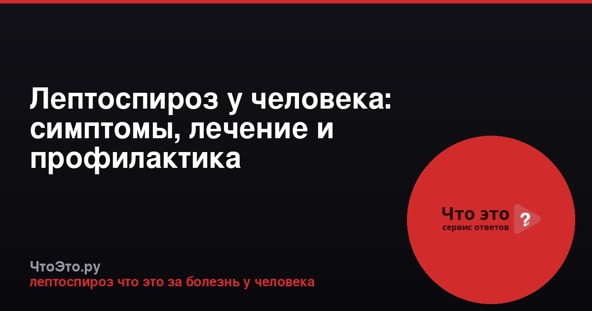 Лептоспироз у человека: симптомы, лечение и профилактика