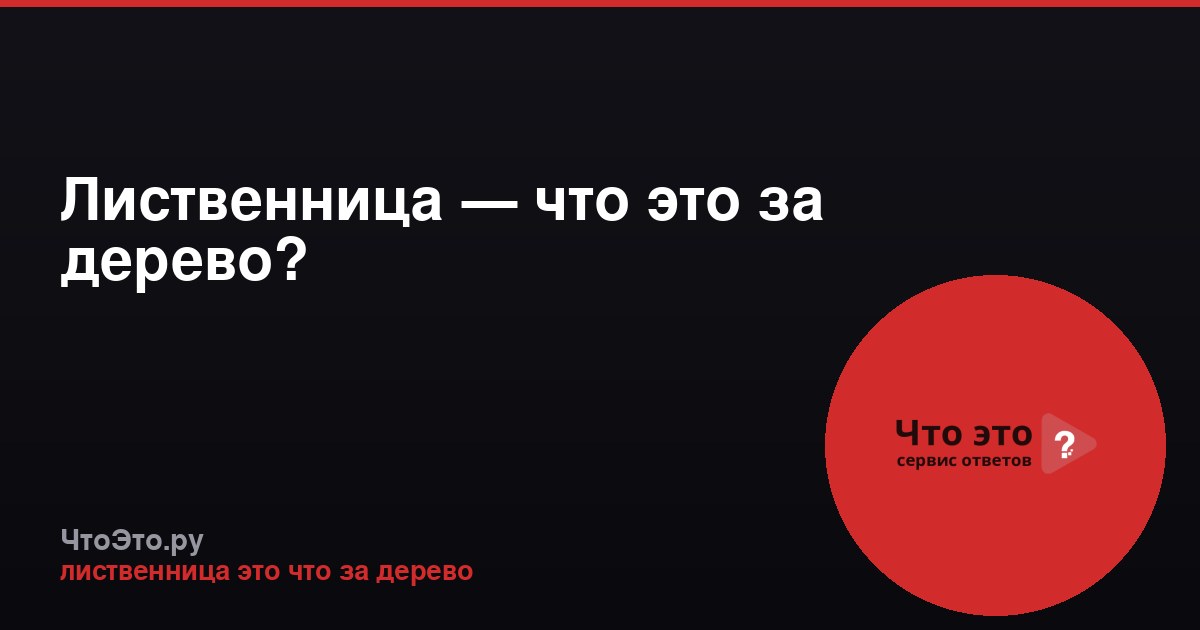 Лиственница — что это за дерево?