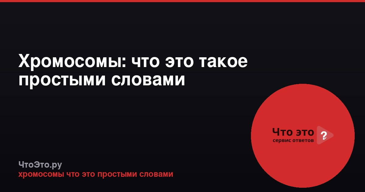 Хромосомы: что это такое простыми словами