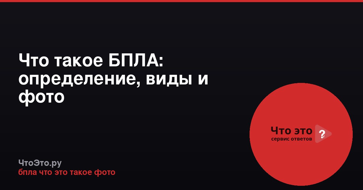 Что такое БПЛА: определение, виды и фото