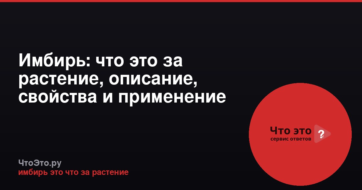 Имбирь: что это за растение, описание, свойства и применение