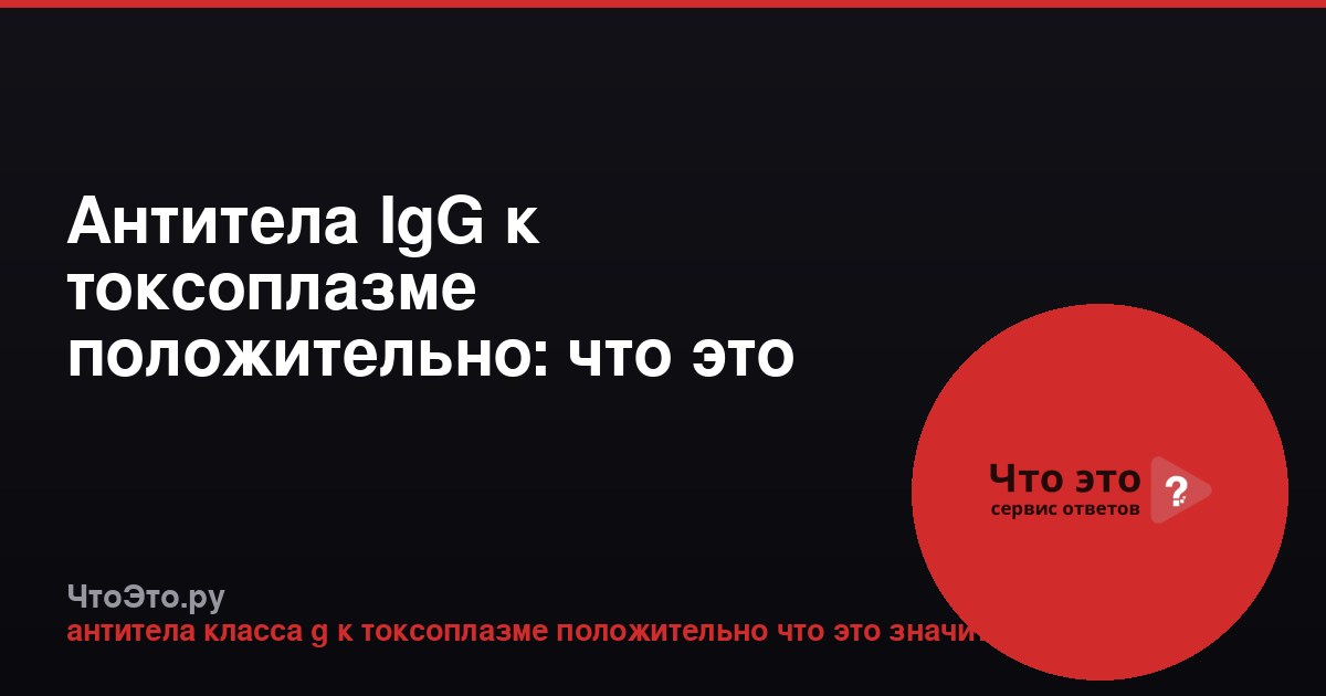 Антитела IgG к токсоплазме положительно: что это значит?